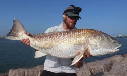 Salt Strong | – FOOLPROOF FISHING SYSTEM (How To Find Redfish & Trout in 10 Minutes or Less)