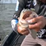 Bassmaster – FORK: Lee Livesay goes back to back with two kickers