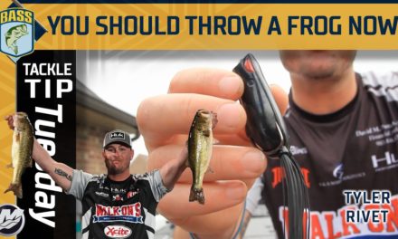 Bassmaster – How Tyler Rivet fishes a Frog from Pre Spawn until Winter