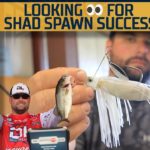 Bassmaster – Mosley focuses on birds for early shad spawn success