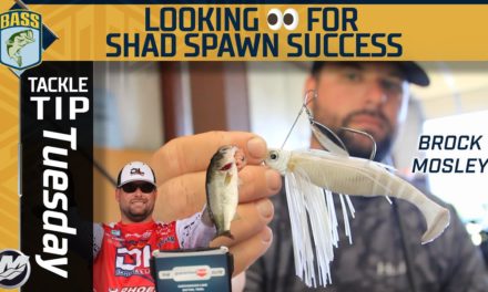 Bassmaster – Mosley focuses on birds for early shad spawn success