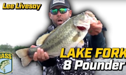 Bassmaster – Never Before Seen: Lee Livesay's last-cast 8 pounder at Lake Fork to seal 2022 victory