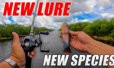 Scott Martin Pro Tips – New LURE New SPECIES CHALLENGE!