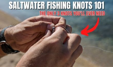 Salt Strong | – Saltwater Fishing Knots 101 (The Only 3 Knots You Really Need)