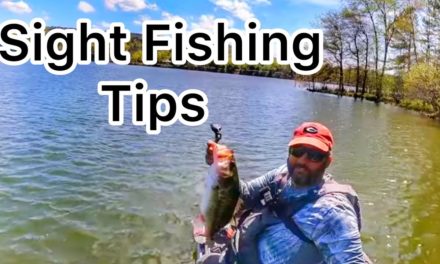 FlukeMaster – Tips and Tricks to Sight Fishing Success