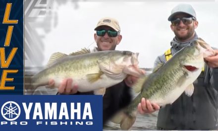 Bassmaster – Yamaha Clip of the Day: Frazier and LeHew's Final Day 8 pounders