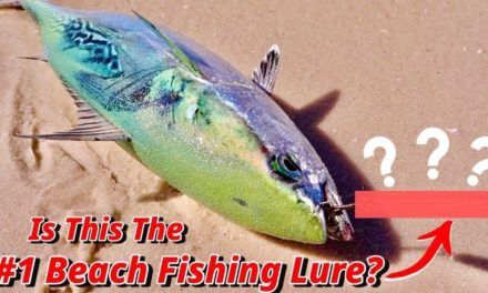 Salt Strong | – #1 Beach Fishing Lure That Will Catch Any Species From The Surf