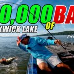 Scott Martin Pro Tips – CRANKING Up $10,000 of BASS! – Bassmaster Elite Pickwick Lake 2022 (FINALS) – UFB S2 E30