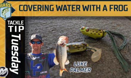 Bassmaster – Choosing between a Popping and Reeling Frog with Luke Palmer
