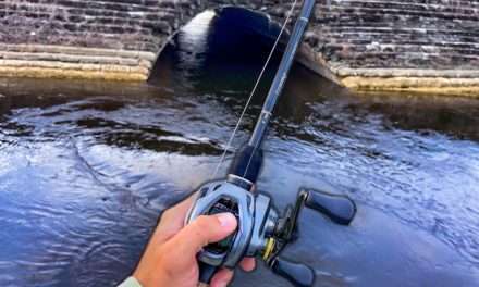 Lawson Lindsey – Crazy Urban Canal Fishing After a Tropical Storm