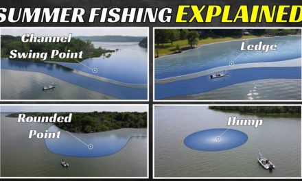Every Bass Fisherman Needs To Know This About Summer Fishing