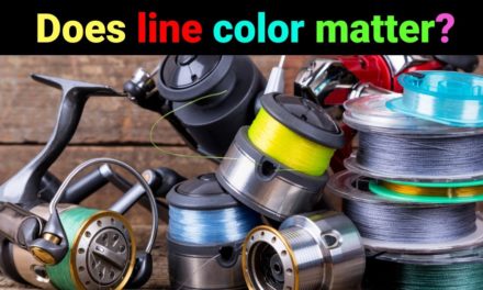 Salt Strong | – Everything You Need To Know About Fishing Line Colors
