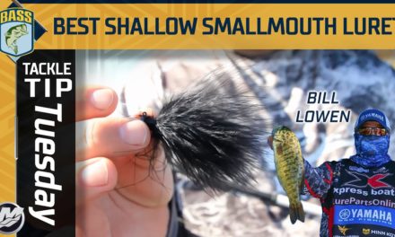 Bassmaster – Is the Maribou Jig the most effective shallow lure for smallmouth?