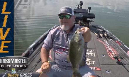 Bassmaster – PICKWICK: Buddy Gross goes back to back on largemouth and smallmouth
