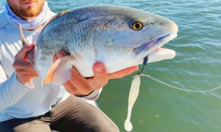 Salt Strong | – This Is How To Use A Paddletail Like A Pro