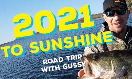 2021 to Sunshine: Road Trip with Gussy