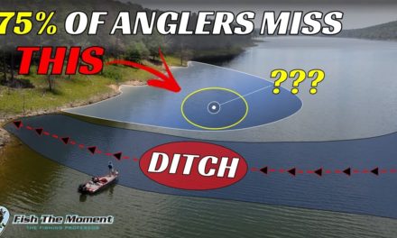 The Best Offshore Anglers on Your Lake Never Talk About This – Don’t Miss Out!