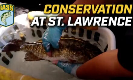 Bassmaster – Bassmaster Conservation Efforts at St. Lawrence River