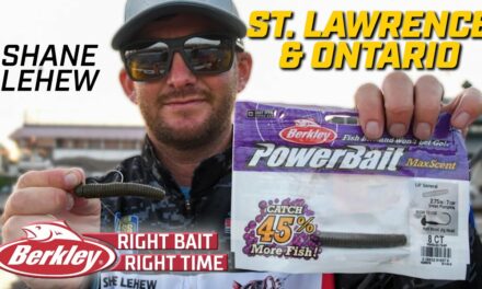 Bassmaster – Berkley Right Bait at the Right Time for Shane LeHew at the St. Lawrence River