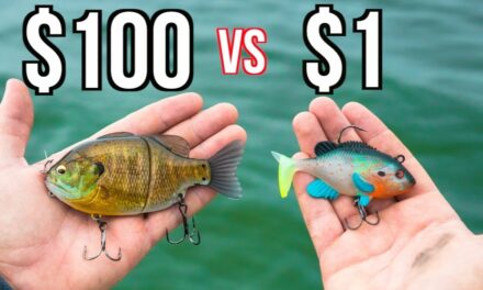 Flair – CHEAP vs EXPENSIVE Swimbait Fishing CHALLENGE!!!!