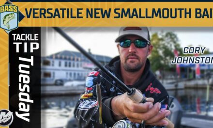 Bassmaster – Cory Johnston's versatile new bait for northern smallmouth (Dropshot and Ned Rig)