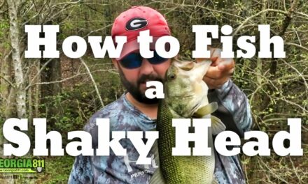 FlukeMaster – How to fish a Shaky Head Worm – Bass Fishing
