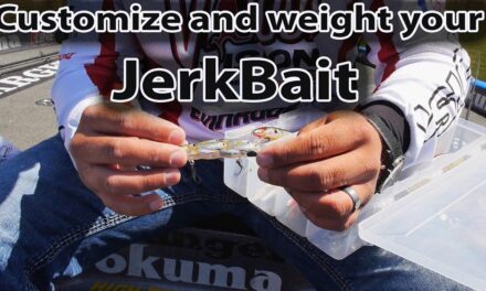 Scott Martin Pro Tips – How to weight and customize your lure for Bass Fishing – Secret Pro Tip