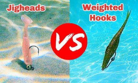 Salt Strong | – Jig Heads VS. Weighted Hooks (Underwater Footage & How To Tips)