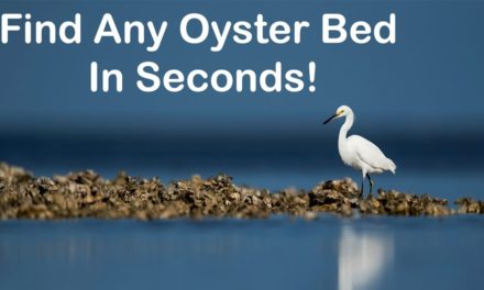 Salt Strong | – Look at this oyster bed locator tool!!! Game-changer!