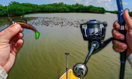 Lawson Lindsey – Paddleboarding to Catch Fish on Oysterbars, Flats and Mangroves