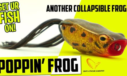 Savage Gear DC Popping Frog Topwater Bass Fishing Lure