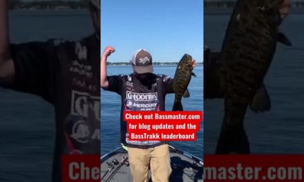 Bassmaster – Smallmouth are biting on Championship Saturday at the Oneida Lake Bassmaster Open