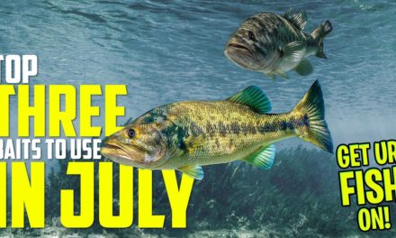 THREE BASS FISHING BAITS to use in July – Beginner Fishing Tips