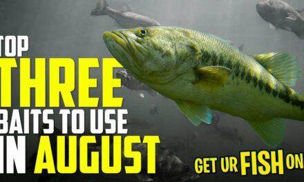 THREE Bass FIshing Baits to use in August – Beginner Fishing Tips 2022