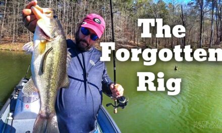 FlukeMaster – The Bass Fishing Rig I Forgot About – Beginner