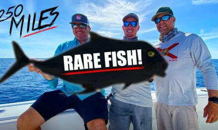 Scott Martin – WE FINALLY CAUGHT ONE! – 250 MILES in Search of This RARE Fish!