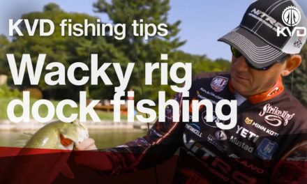 Wacky rig fishing tips / Ocho – with KVD