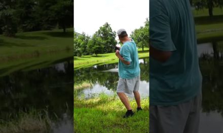 Zman flashback mini chatterbait – 2nd cast pond bank fishing #shorts