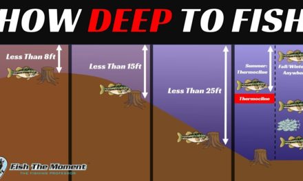 The Most Important Video About Offshore Bass Fishing You Will Ever Watch (Probably…)