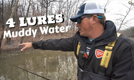 Scott Martin Pro Tips – Best 4 Lures in MUDDY Water you need to know!