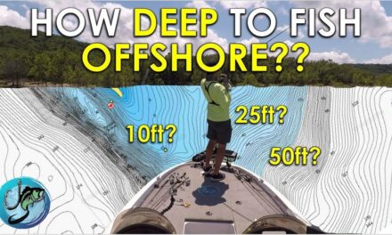 Easy Guide: How Deep Bass Live Offshore | Thermocline Explained