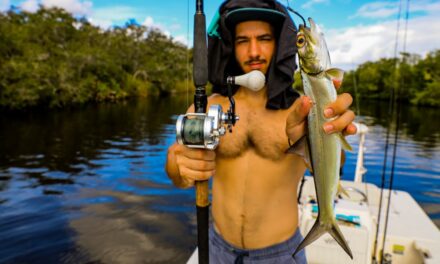 Lawson Lindsey – Fishing With Live LadyFish