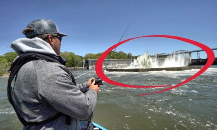 Scott Martin – What Is That?! Bass Fishing in the Current!