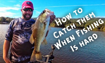 FlukeMaster – When the Fishing is Tough – How to Fish