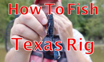 FlukeMaster – How to Fish a Texas Rig in the Fall