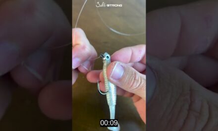 Salt Strong | – #1 Knot For Artificial Lures In Less Than 30 Seconds