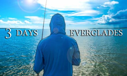 Lawson Lindsey – 3 Days Fishing and Catching Food in the Everglades