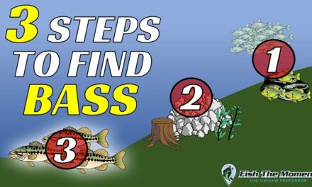 3 Step Process To Find Bass on ANY LAKE In Under 2 Hours