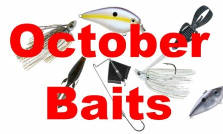 FlukeMaster – Bass Fishing Baits for October – Fall Transition