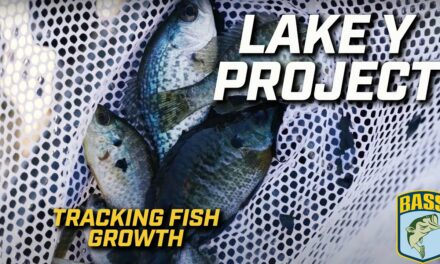 Bassmaster – Bassmaster's Lake Y Project: Tracking fish growth after floods